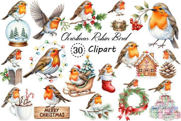 Christmas Robin Bird PNG Clipart